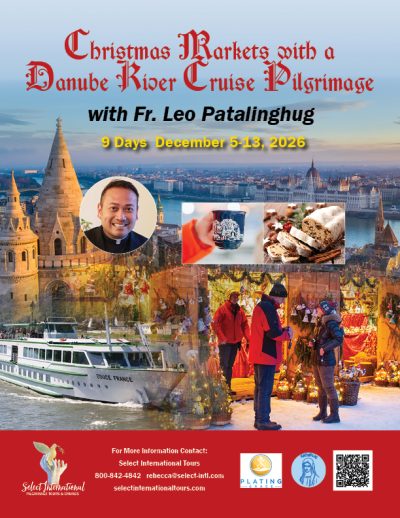 Christmas Markets with a Danube River Cruise Pilgrimage with Fr. Leo Patalinghug - December 5-13, 2026 - 26RS12ATLP